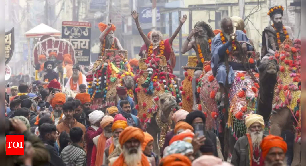 महाकुंभ: सरकार ने एयरलाइंस से प्रयागराज की उड़ानें जोड़ने और बढ़ते हवाई किरायों पर लगाम लगाने को कहा | भारत समाचार