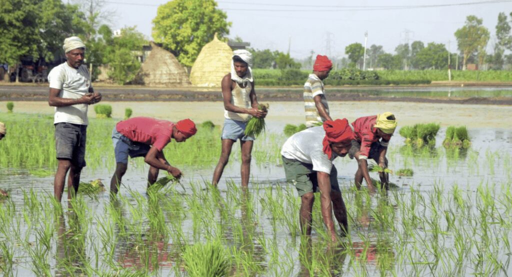 सरकार की मसौदा नीति का उद्देश्य एकीकृत कृषि बाजार बनाना है | भारत समाचार