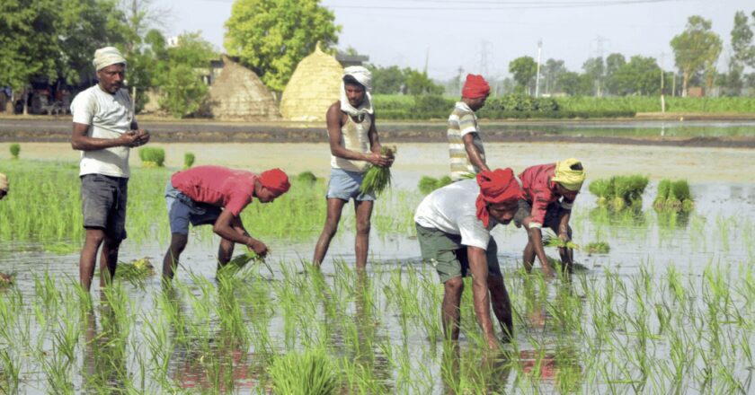 सरकार की मसौदा नीति का उद्देश्य एकीकृत कृषि बाजार बनाना है | भारत समाचार