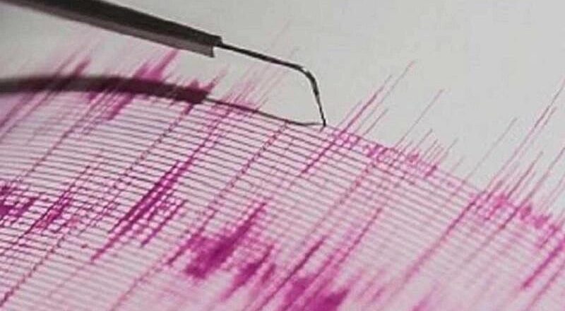 4.6 परिमाणों का भूकंप, अंडमान सागर, एनसीएस रिपोर्ट