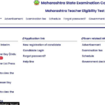 MAHATET 2024 Result Declared At mahatet.in; Direct Link Here