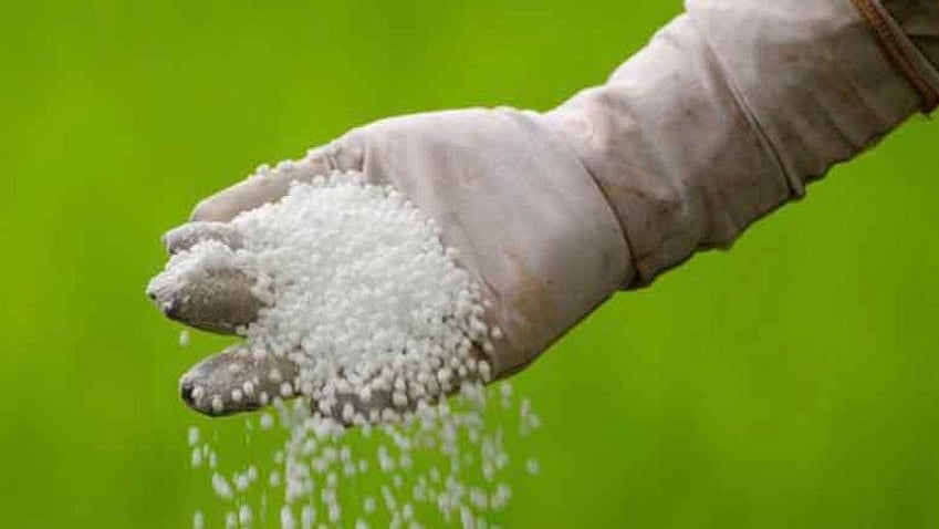 Madhya Pradesh: Authorities Bust Major Urea Black Marketing In Ratlam