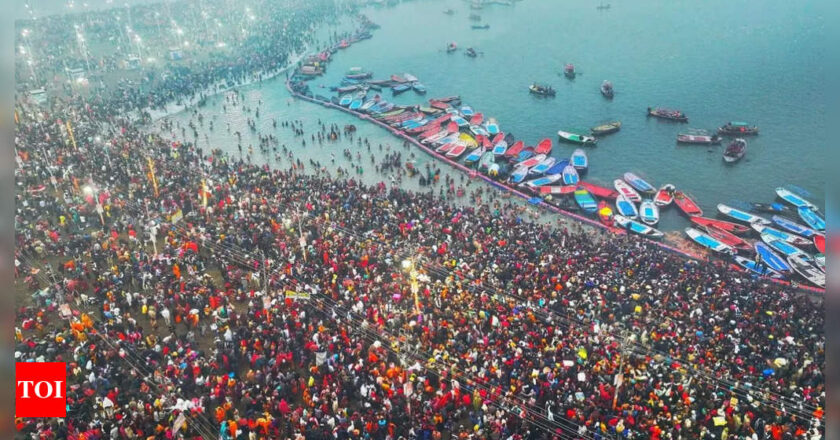 आदमी घर पर बीमार माँ को बंद कर देता है, पत्नी, बच्चों को महा कुंभ के लिए पवित्र डुबकी के लिए ले जाता है भारत समाचार