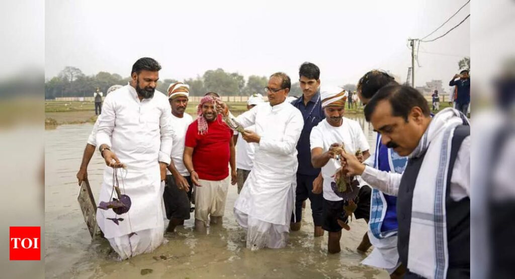 एग्री मिन ने आश्वस्त किया कि सरकार के समर्थन के मखना किसान | पटना न्यूज