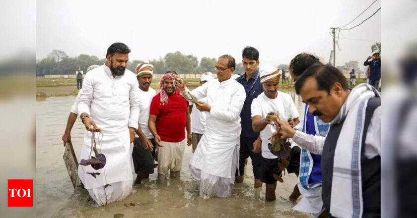 एग्री मिन ने आश्वस्त किया कि सरकार के समर्थन के मखना किसान | पटना न्यूज