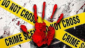 Delhi Crime: Angry Teenager Kills Mother