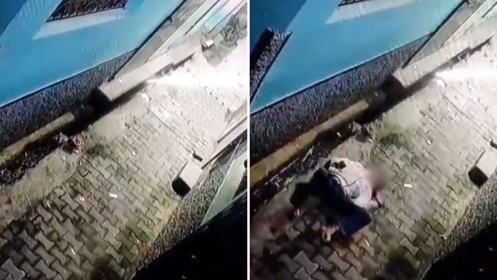 UP: Thief On House Roof Falls Dramatically To Ground Seeing Its Owners Waking Up; Watch Video