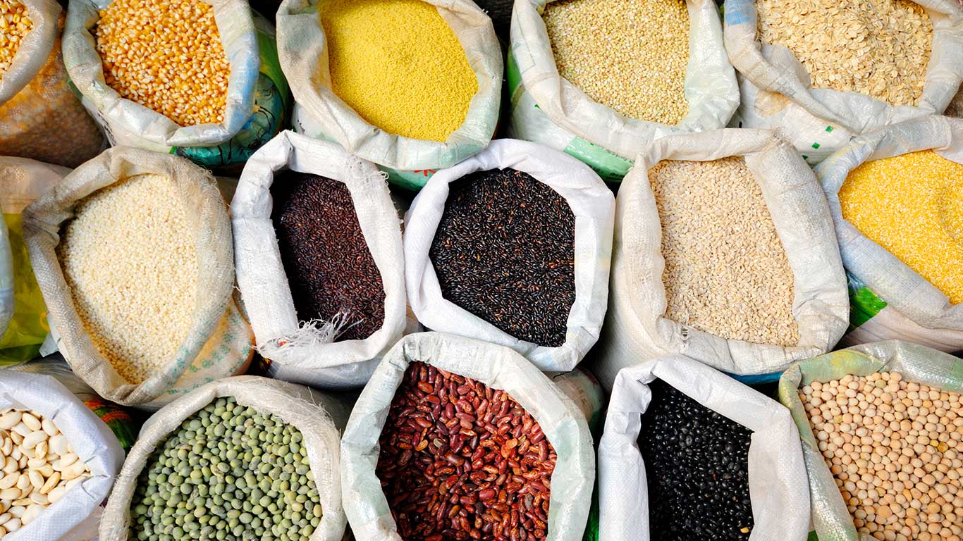 भारत का खाद्यान्न उत्पादन 2024-25 में रिकॉर्ड 357.73 मिलियन टन तक पहुंच गया: कृषि मंत्रालय