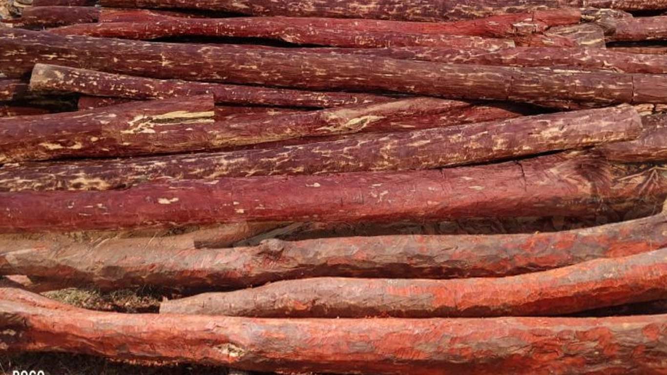 रेड सैंडर्स संरक्षण के लिए एबीएस फ्रेमवर्क के तहत ओडिशा को 29.40 लाख रुपये मिले