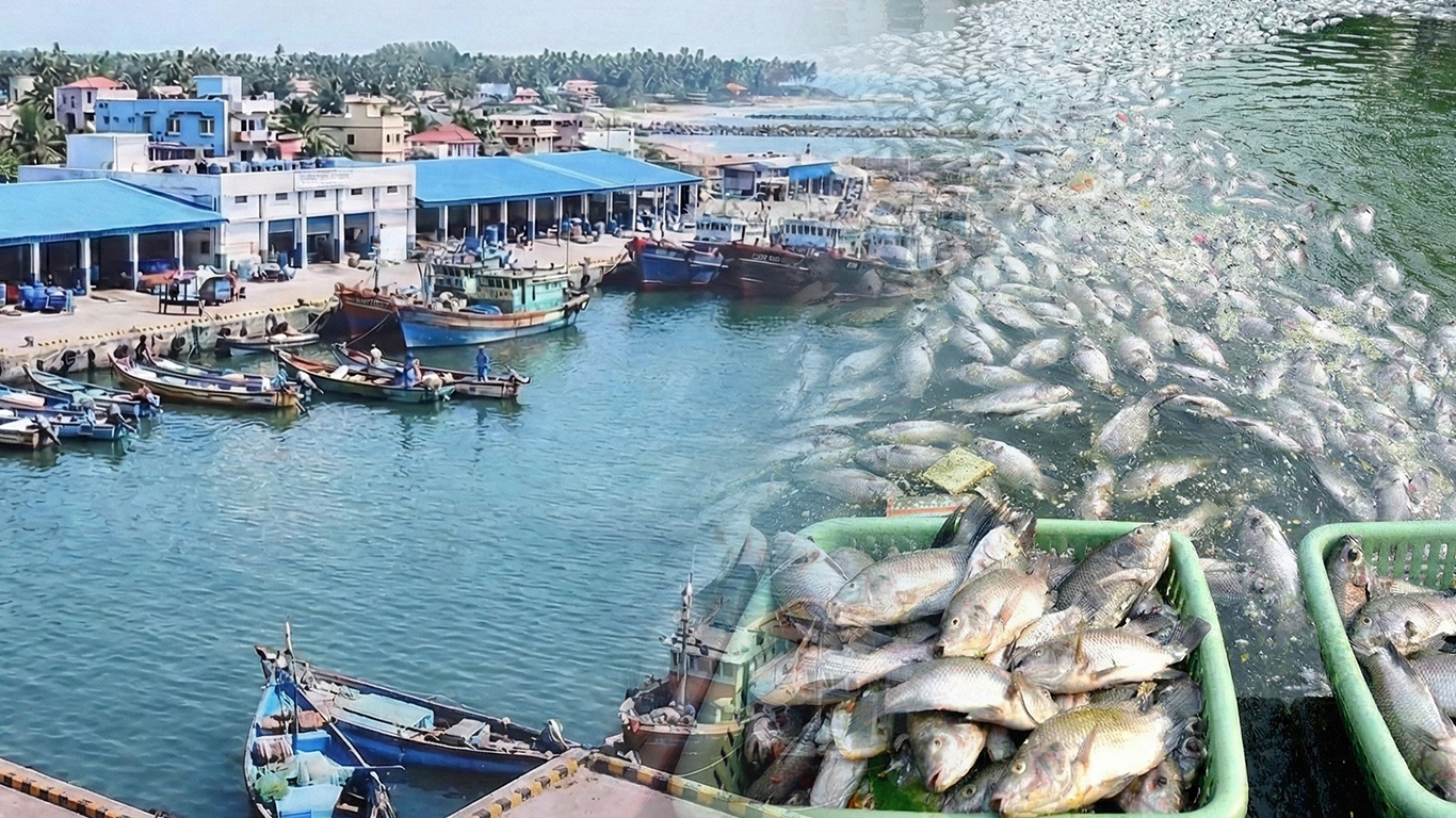 पीएम मत्स्य सम्पदा योजना मत्स्य पालन विकास, मछुआरे कल्याण को बढ़ावा दे रही है: सरकार