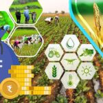 वित्त राज्य मंत्री का कहना है कि सरकार ने नीतिगत उपायों के माध्यम से किफायती कृषि ऋण को बढ़ावा दिया है